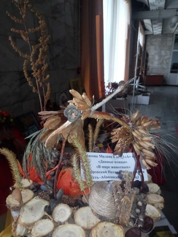 Tarasova-Milana_optimized