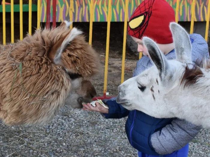 Cheshuina_Natal_ya_Nikolaevna_MKU_Ust_-Byurskij_SDK_A_mne