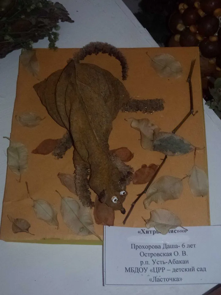 Proxorova-Dasha_optimized