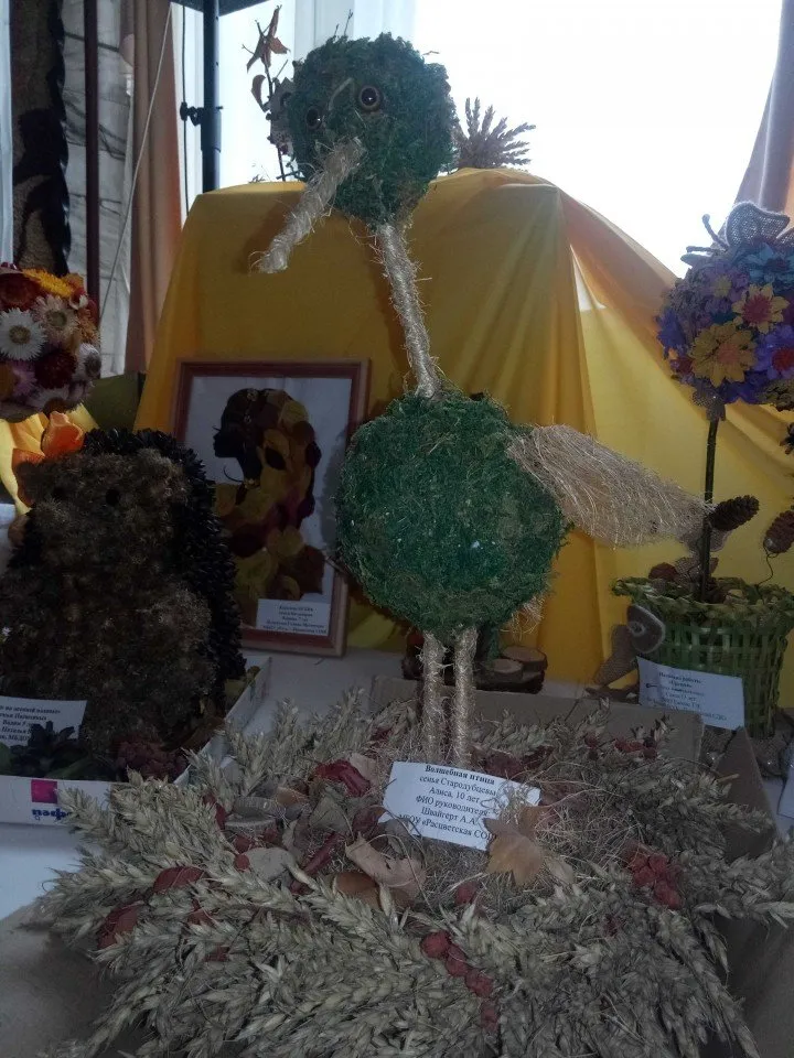 Starodubceva-Alisa_optimized