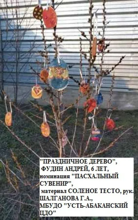 FUDIN_ANDREJ_6_LET_SOLENOE_TESTO_ruk._SH_G.A._MBUDO_UST_-ABAKANSKIJ_CZDO