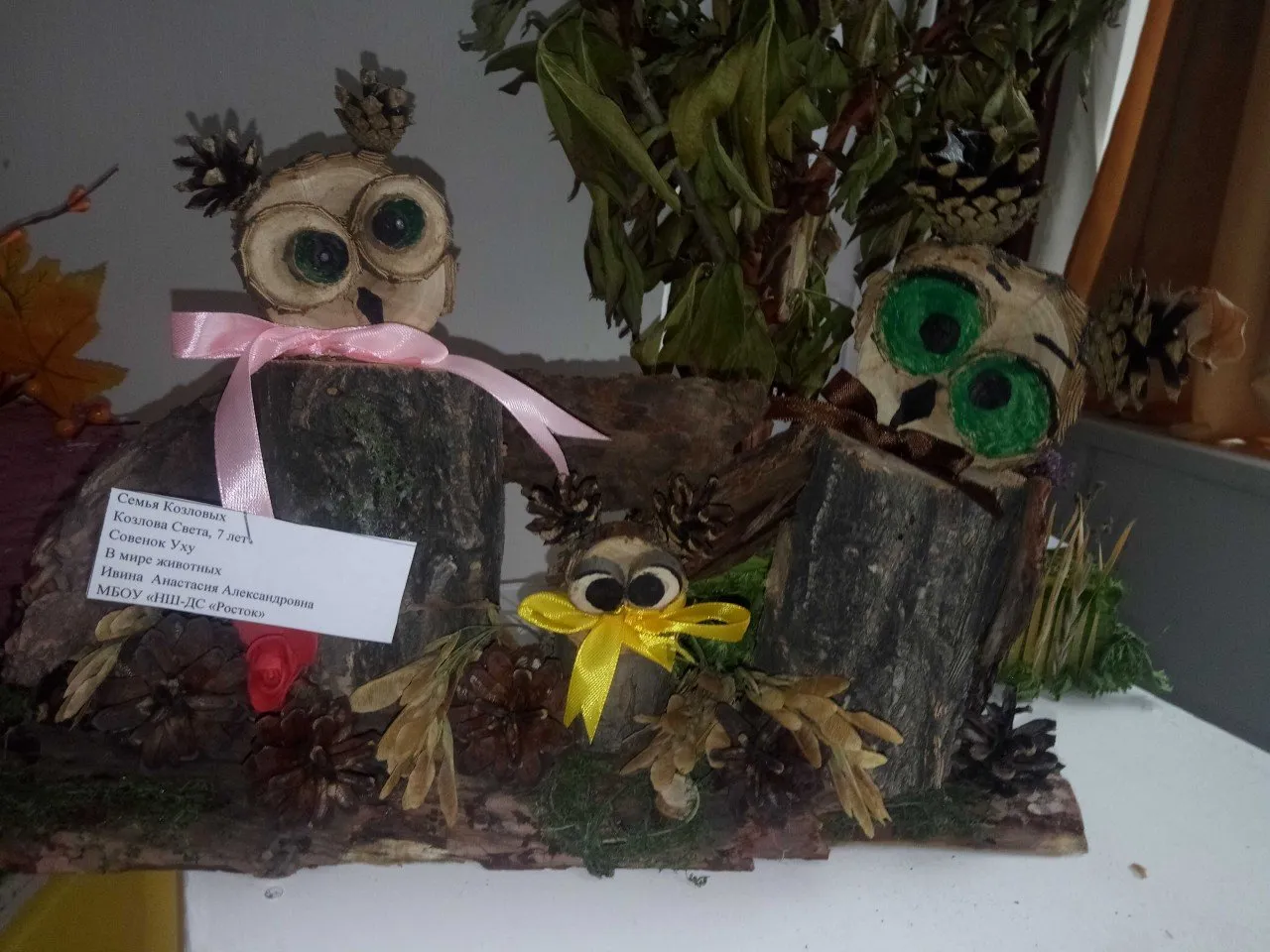 Kozlova-Sveta_optimized